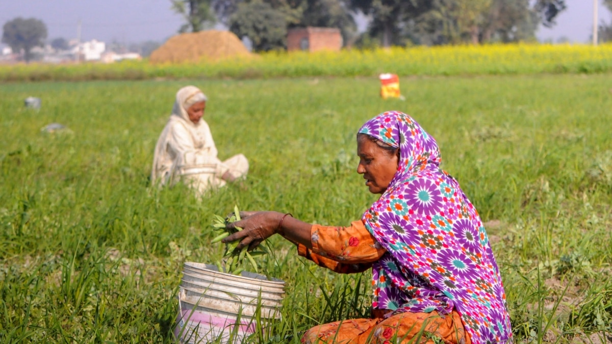 किसानों को योगी सरकार का तोहफा, 80% तक मिल रही सब्सिडी, हर कोई ले सकता है फायदा