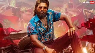 Pushpa 2 એ હિન્દી બેલ્ટમાં ઇતિહાસ રચ્યો, 'પઠાણ'-'જવાન' અને 'એનિમલ'ને ઊંધા માથે પછાડી