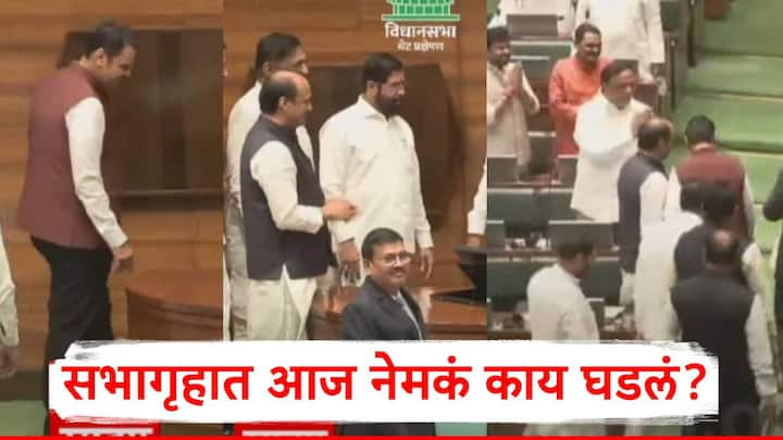 Maharashtra Vidhan Sabha: राहुल नार्वेकर यांची आवाजी मतदानाने एकमताने विधानसभा अध्यक्षपदी निवड झाली.