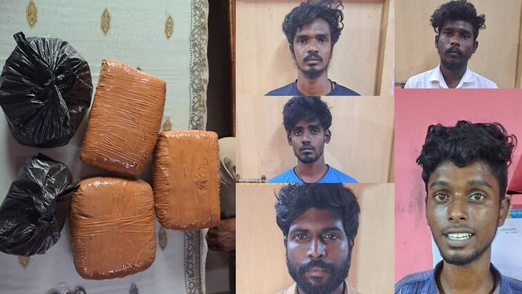 Kanchipuram Police arrested 5 people for buying and selling ganja from Odisha TNN ஒடிசா To காஞ்சிபுரம்.. வாட்ஸ் அப்பில் கஞ்சா வியாபாரம்.. போலீசை கதறவிட்ட சம்பவம்