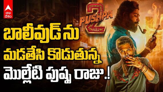 Pushpa 2 Breaking all Bollywood Records | హిందీ సినీ ఇండస్ట్రీని షేక్ చేస్తున్న పుష్ప కలెక్షన్లు | ABP Desam