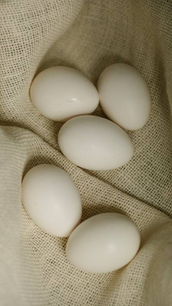 ਅਚਾਨਕ ਵਧੇ ਅੰਡਿਆਂ ਦੇ ਭਾਅ, ਇੱਕ ਦਰਜਨ ਦੀ ਕੀਮਤ 860 ਰੁਪਏ!