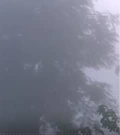 मुरादाबाद में छाया घना कोहरा | ABP NEWS SHORTS