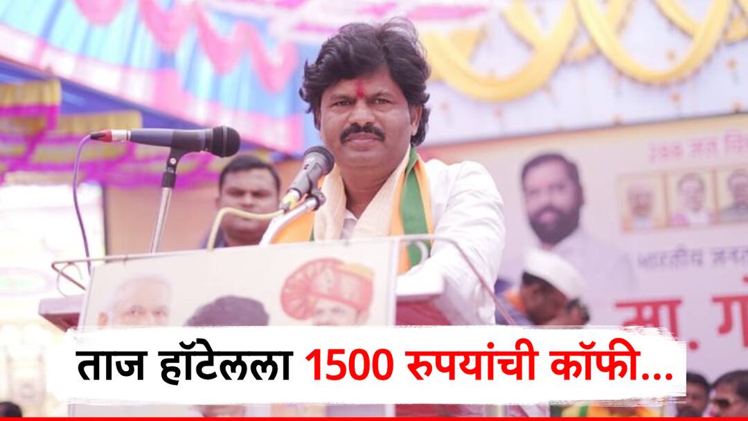 bjp mla gopichand padalkar comment on mukhyamantri mazi ladki bahin yojana लिपस्टिकवाल्या, लाखाचं सँडल-गॉगलवाल्यांना 1500 नाही, तर..., लाडक्या बहिणीबद्दल गोपीचंद पडळकर काय म्हणाले?