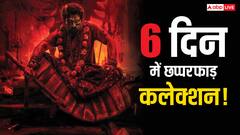 'पुष्पा 2' ने भारत में पार किया 600 करोड़ का आंकड़ा, 'स्त्री 2' को पछाड़ा