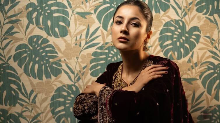 Shehnaaz Gill Wins Hearts In A Punjabi Velvet Suit, SEE PICS