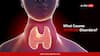 What Causes Thyroid Disorders? Know Symptoms, Tests, And Importance Of Early Diagnosis