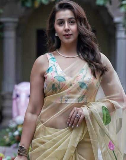 நடிகர் ஆதியை திருமணம் செய்து கொண்டு, நடிப்பில் இருந்து விலகிய, நடிகை நிக்கி கல்ராணி பெங்களூரில் ஸ்மைலிஸ் என்கிற ரெஸ்ட்டாரெண்ட்டை நடத்தி வருகிறார். சினிமாவில் இருந்து விலகி விட்டதால் தன்னுடைய பிஸினஸில் தான் இவர் அதிக கவனம் செலுத்தி வருவதாக கூறப்படுகிறது.