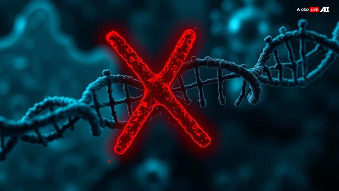 What Is Disease X Know Symptoms Causes Prevention Of The New Health Threat What Is Disease X? Know Symptoms, Causes & Prevention Of The New Health Threat