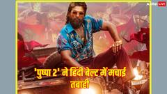 मंडे को भी 'पुष्पा 2' की धुआंधार हुई कमाई, 5वें दिन 'स्त्री 2'-'एनिमल' का तोड़ा रिकॉर्ड