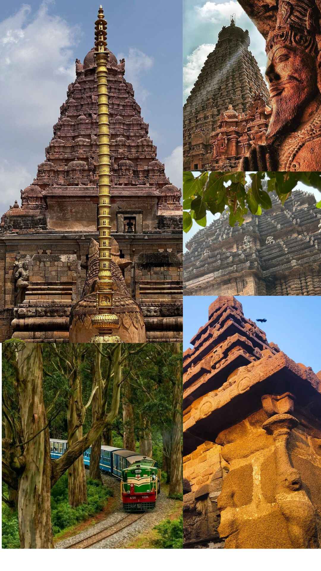 யுனெஸ்கோவின் அறிக்கையின் படி  தமிழ்நாட்டில் உள்ள உலக பாரம்பரிய தளங்கள்