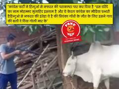 Fact Check: प्रियंका गांधी वाड्रा की चुनावी जीत के लिए FAKE है गोवंश की बलि दिए जाने का दावा
