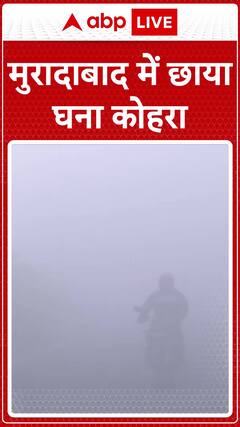 Winter Unfolds: Thick Blanket of Fog Envelops Moradabad | ABP News