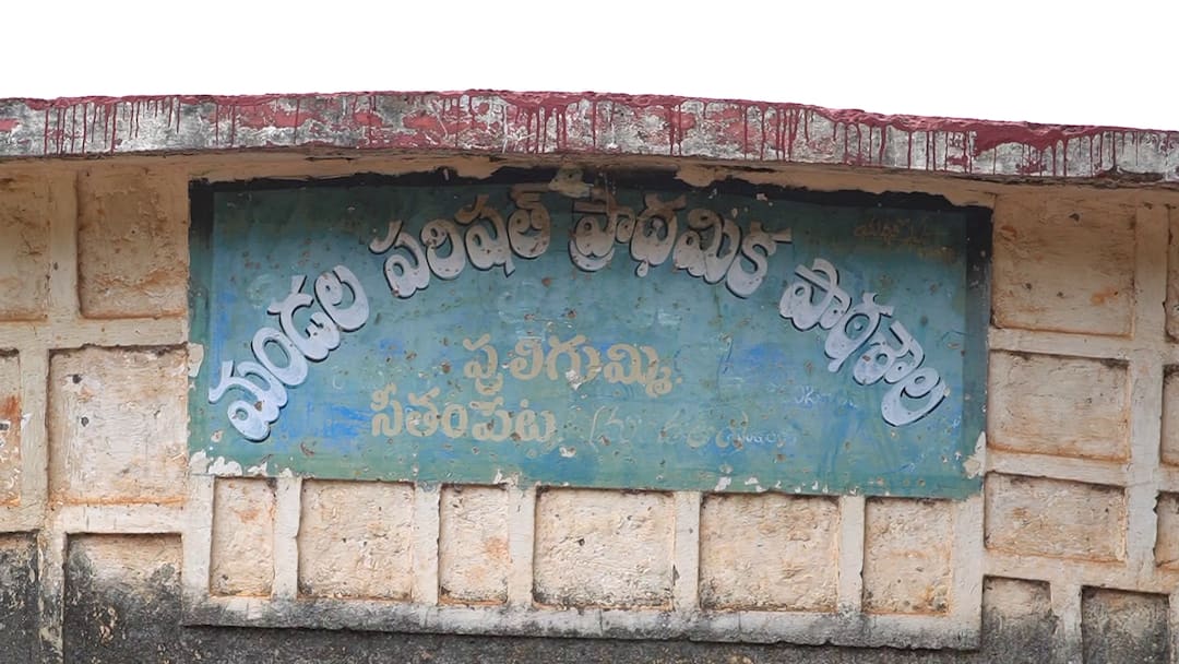 Puligummi: పలు చోట్ల భయపెడుతున్న పులులు - పుట్టినిల్లు లాంటి పులిగుమ్మికి రావేంటి ? మన్యంలోని ఈ గ్రామం ప్రత్యేకత తెలుసా ? Puligummi a village in Manyam district was once home to tigers Puligummi: పలు చోట్ల భయపెడుతున్న పులులు - పుట్టినిల్లు లాంటి పులిగుమ్మికి రావేంటి ? మన్యంలోని ఈ గ్రామం ప్రత్యేకత తెలుసా ?