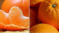 Health Care Tips: কমলালেবু খেলে স্ট্রোকের সম্ভাবনা কমে ?