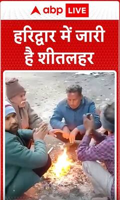 Uttarakhand News: हरिद्वार में जारी है शीतलहर #abpnewsshorts