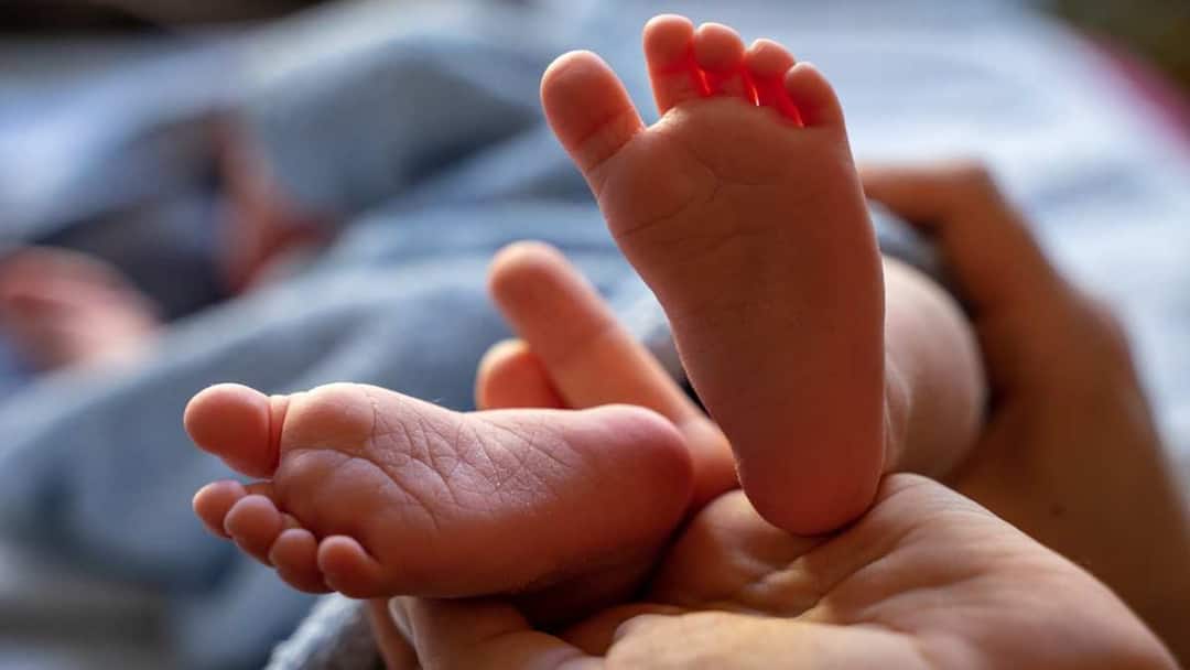 2-Year-Old Falls From 13th Floor Flat While Playing, Saved By Man In Thane: Video Thane News 2-Year-Old Falls From 13th Floor Flat While Playing, Saved By Man In Thane: Video 2-Year-Old Falls From 13th Floor Flat While Playing, Saved By Man In Thane: Video