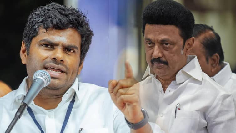TN BJP Leader Annamalai Says MK Stalin Son in Law Sabareesan Meets Adani TN Politics Annamalai: முதல்வர் ஸ்டாலினால் இதை சொல்ல முடியுமா? ஆதாரத்தை வெளியிடுவேன்: புது செக் வைத்த அண்ணாமலை 
