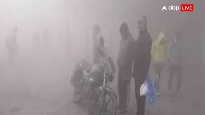 मौसम विभाग के अनुसार 12-13 दिसंबर को दिल्ली में स्मॉग और धुंध रहेगी. अधिकतम तापमान 23 डिग्री और न्यूनतम 6-7 डिग्री के बीच रह सकता है. 14 से 16 दिसंबर तक भी ऐसा ही मौसम रहने का अनुमान है.