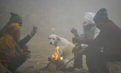 દિલ્હીમાં કોલ્ડવેવનો કહેર, હવામાન વિભાગે આ રાજ્યોમાં આપ્યું એલર્ટ, જાણો