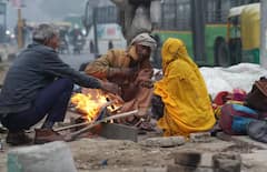 દિલ્હીમાં કોલ્ડવેવનો કહેર, હવામાન વિભાગે આ રાજ્યોમાં આપ્યું એલર્ટ, જાણો