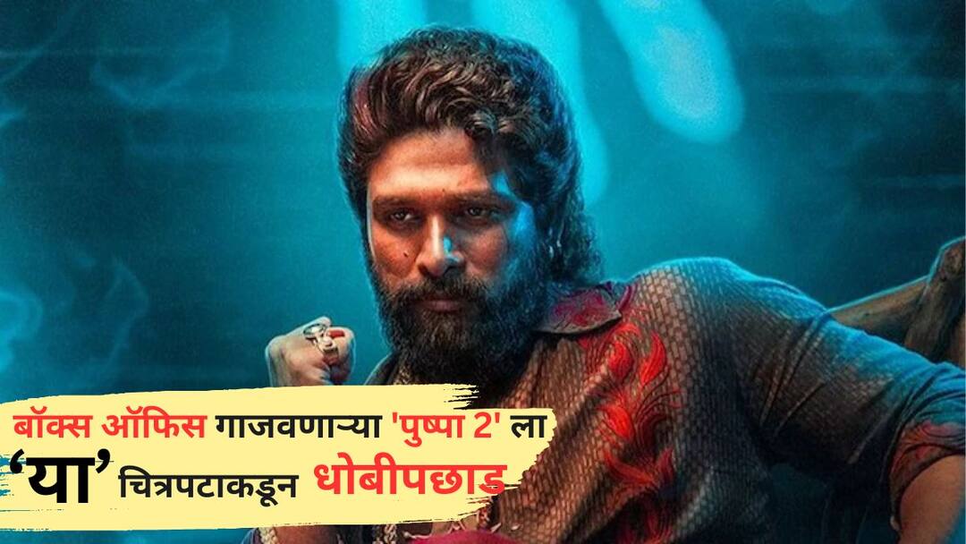 Pushpa 2 The Rule which made record breaking collection flopped in front of 40 crore south film bagheera left behind in 2024 with kannada earnings Pushpa 2 Flop: बॉक्स ऑफिस गाजवणारा 'पुष्पा 2' एका ठिकाणी सुपरफ्लॉप; 40 कोटींच्या 'या' चित्रपटासमोर कमावले फक्त 3.55 कोटी, थेट धोबीपछाड