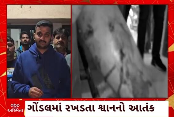 Rajkot News: ગોંડલમાં રખડતા શ્વાનનો આતંક , બે દિવસમાં 57 લોકો પર શ્વાનનો હુમલો