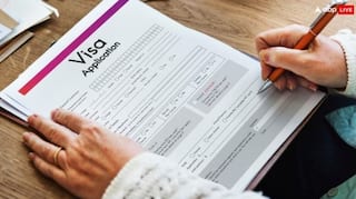 खुद को स्किल्ड लेबर का हब बनाना चाहता है पोलैंड, भारतीयों के लिए किया वीजा पॉलिसी में बदलाव