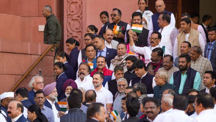 Parliament Protests Take 'Rosy' Turn As Rahul Gandhi Gives Red Rose To Rajnath Singh — Watch