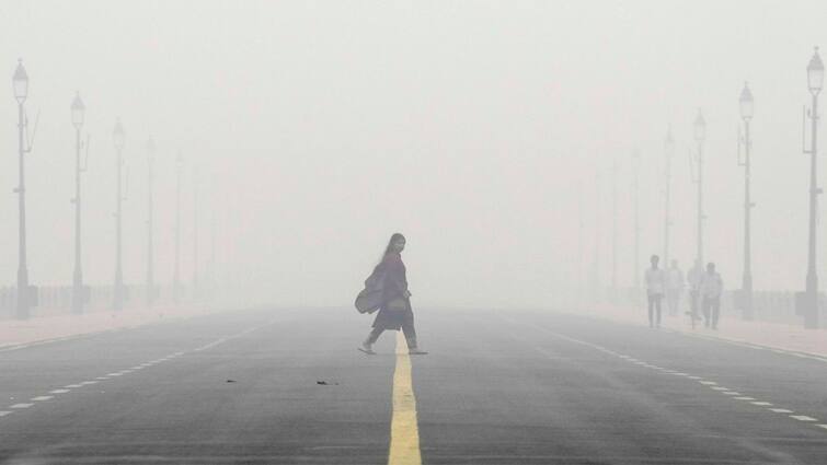 Fog Causes Over 30,000 Road Accidents Every Year in India: Govt In Rajya Sabha