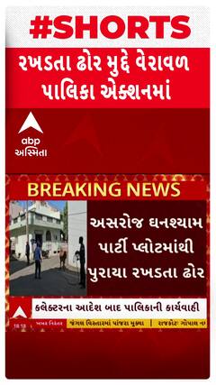 Gir Somnath News: રખડતા ઢોર મુદ્દે ગીર સોમનાથની વેરાવળ પાલિકા એક્શનમાં