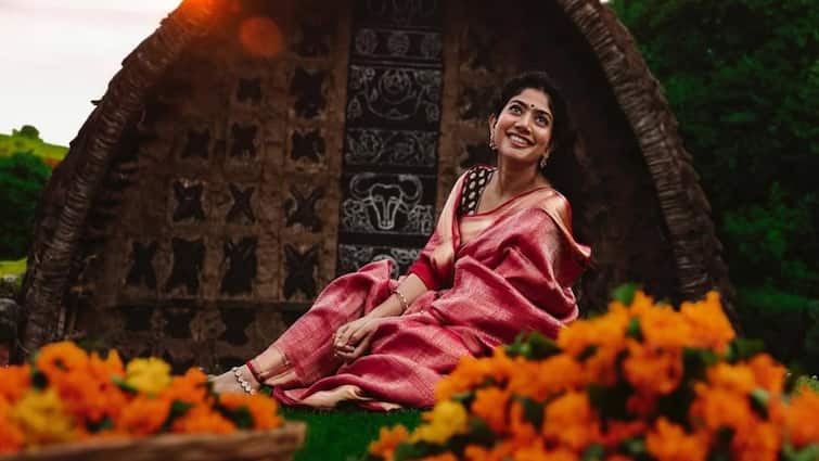 Sai Pallavi Denies Claims About Turning Vegetarian For Nitesh Tiwari's Ramayana: 'Will Hear From Me Legally...'