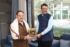 दिल्लीत महाराष्ट्र संस्कृतीचा ठेवा; देवेंद्र फडणवीसांकडून 7 नेत्यांसाठी 5 मूर्ती, कुणाला-काय गिफ्ट