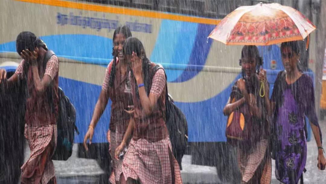 School Leave: ஸ்டூடண்ட்ஸ்! வெளுக்கும் மழையால் இன்று பள்ளிகளுக்கு லீவு - எத்தனை மாவட்டத்திற்கு? Tamilnadu Rain school leaves including chennai ramanathapuram cuddalore know update here School Leave: ஸ்டூடண்ட்ஸ்! வெளுக்கும் மழையால் இன்று பள்ளிகளுக்கு லீவு - எத்தனை மாவட்டத்திற்கு?