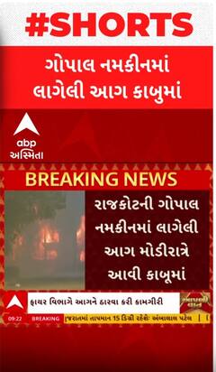 Rajkot Fire: રાજકોટના ગોપાલ નમકીનમાં લાગેલી આગને લઈને સૌથી મોટા સમાચાર | Abp Asmita