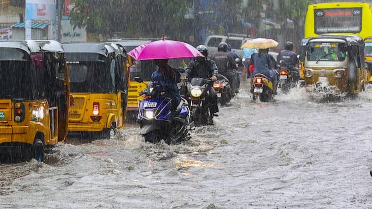 Delta weatherman says chance to form new cyclone bay of bengal know details here TN Rains: மீண்டும் மீண்டுமா! 20ம் தேதி உருவாகிறது புதிய புயல்? டெல்டா வெதர்மேன் ரிப்போர்ட்