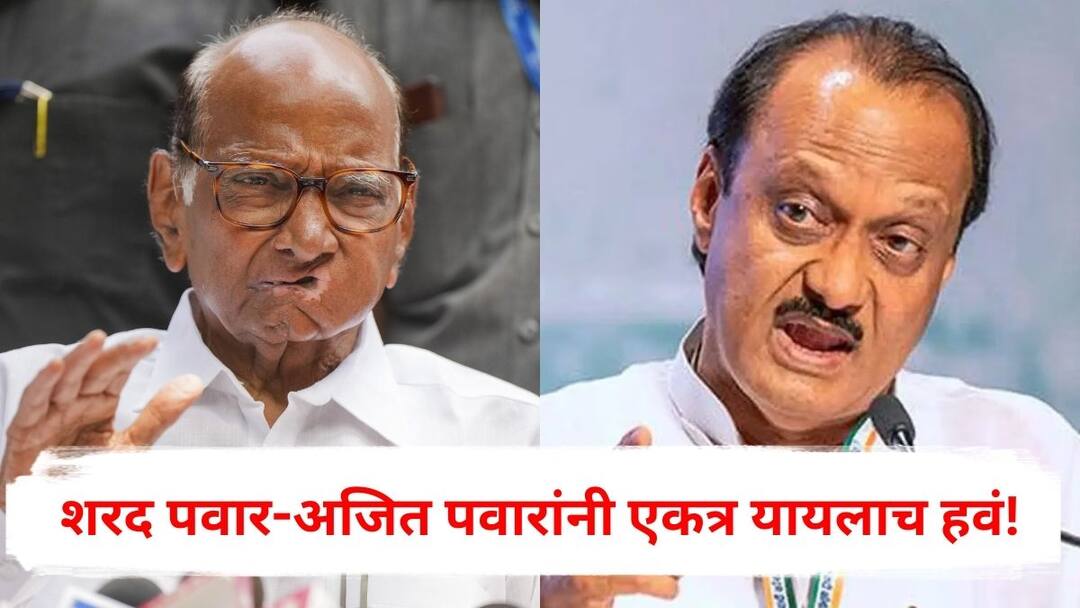 Sharad Pawar Ajit Pawar must come together NCP leader Hemant Takle Big Statment after Ajit Pawar meets Sharad Pawar on his Birthday at Delhi Marathi News Sharad Pawar & Ajit Pawar : शरद पवार-अजित पवारांनी एकत्र यायलाच हवं, दिल्लीतील भेटीनंतर बड्या नेत्याने कारण सांगितलं