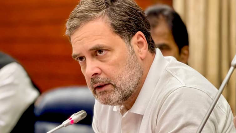 Savarkar Defamation Case: Rahul Gandhi Gets Bail From Pune Court After Virtual Hearing