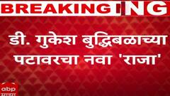 D Gukesh : विश्वनाथन आनंदनंतर दुसरा जगज्जेता ठरलेला डोमराजू गुकेश कोण आहे? संपूर्ण प्रवास एका क्लिकवर