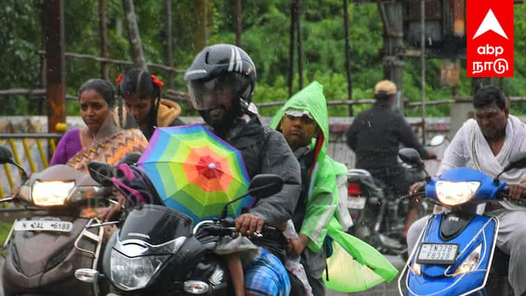 villuppuram Schools Colleges Declared Holiday December 13th 2024 Due To Heavy Rain TNN Schools Colleges Holiday: இந்த மாவட்டங்களின் பள்ளி, கல்லூரிகளுக்கு நாளை விடுமுறை