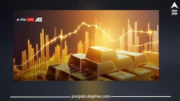 Gold Prices In 2025: ਨਵੇਂ ਸਾਲ 'ਚ ਸੋਨਾ ਖਰੀਦਣ ਵਾਲਿਆਂ ਨੂੰ ਮਿਲੇਗੀ ਰਾਹਤ! ਵਿਸ਼ਵ ਗੋਲਡ ਕੌਂਸਲ ਨੇ ਆਖੀ ਇਹ ਗੱਲ