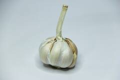 Garlic : पचनसंस्थेपासून ते कोलेस्टेरॉलपर्यंत लसूण खाल्ल्याने होतात होतात प्रचंड फायदे!