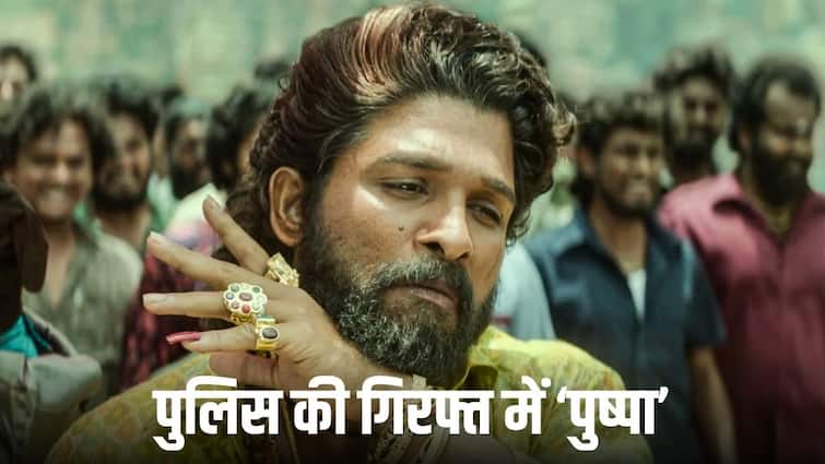 know in which case Pushpa star Allu Arjun arrested how many years of punishment is given Allu Arjun Arrest News: PUSHPA 2 करके बुरा फंसा पुष्पा! गिरफ्तार हुए अल्‍लू अर्जुन को मिल सकती है कितने साल की सजा, जानें