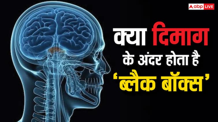 क्या दिमाग के अंदर होता है ब्लैक बॉक्स, जान लें इसका काम