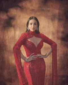 Year Ender 2024: આ વર્ષે મલાઈકા અરોરાના હોટ બોડીકોન લૂક રહ્યા ચર્ચામાં, જુઓ તસવીરો