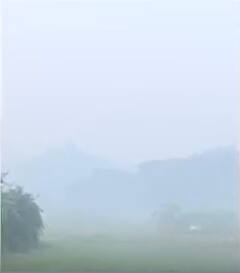 Assam Fog News : असम के गुवाहटी में छाया घना कोहरा |ABP NEWS SHORTS