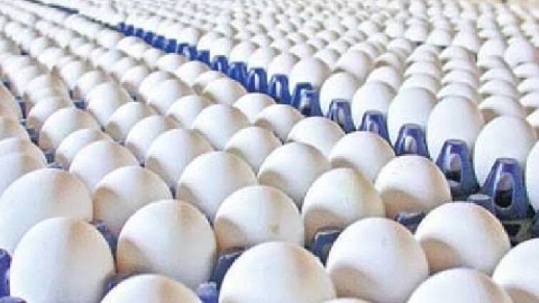 Egg prices have reached a peak... Traders are worried about not being able to export abroad. Egg Price Hike: உச்சம் தொட்ட முட்டை விலை... வெளிநாட்டிற்கு ஏற்றுமதி செய்ய முடியாமல் வியாபாரிகள் கவலை