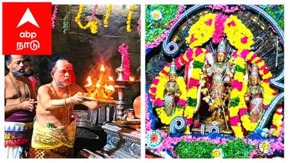 Mayiladuthurai sirkali Vaitheeshwarankovil devotees Karthikai prayer தருமபுரம் ஆதீனம் உள்ளிட்ட திரளான பக்தர்கள் கலந்துகொண்டு வழிபாடு செய்த கார்த்திகை மாத கீர்த்திகை வழிபாடு...!