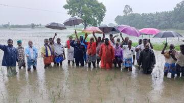 இரண்டாம் முறையும் நஷ்டமா? கொட்டும் மழையில் வயலில் இறங்கி விவசாயிகள் போராட்டம்