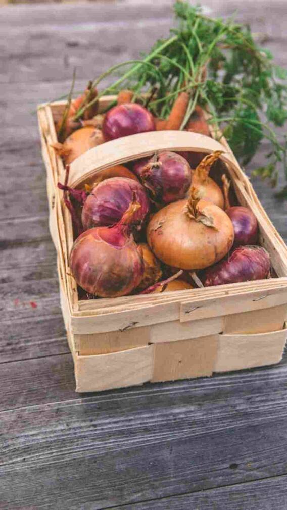 ਕੱਚਾ ਪਿਆਜ ਖਾਂਦੇ ਹੋ ਤਾਂ ਅੱਜ ਹੀ ਥਾਲੀ 'ਚੋਂ ਕਰਦੋ ਦੂਰ, ਨਹੀਂ ਤਾਂ ਹੋ ਜਾਣਗੀਆਂ ਆਹ ਸਮੱਸਿਆਵਾਂ